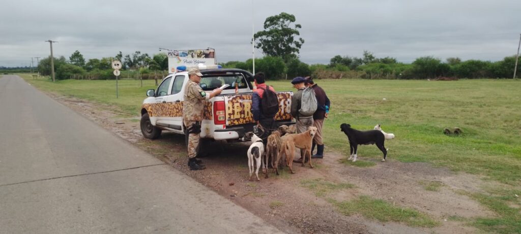 La Brigada de la Policía Rural identificó a 17 cazadores furtivos con más de 30 perros  