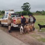 La Brigada de la Policía Rural identificó a 17 cazadores furtivos con más de 30 perros  