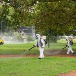 Dengue: el frío llegó pero hay dos razones por las que todavía no está terminada la epidemia