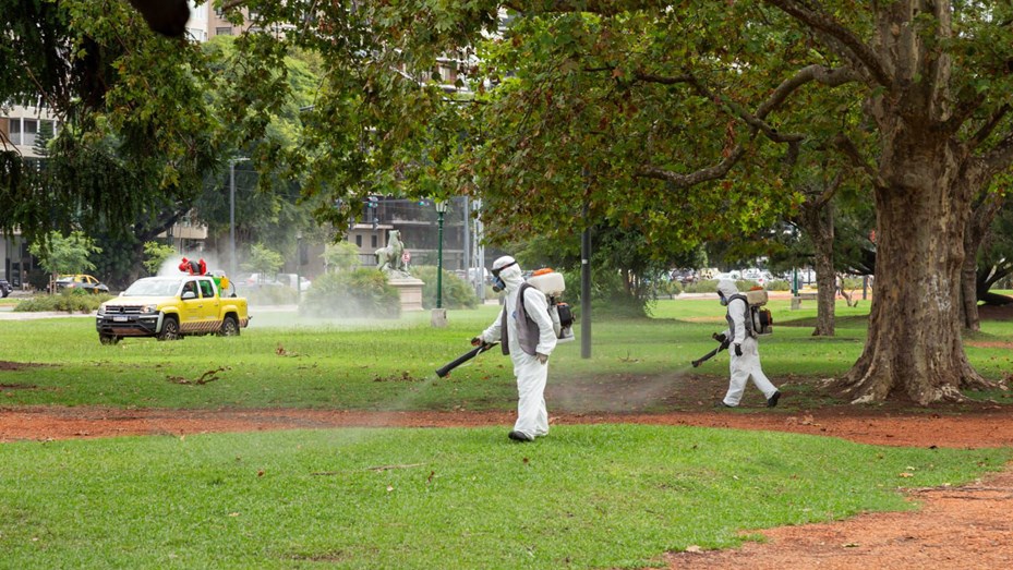 Dengue: el frío llegó pero hay dos razones por las que todavía no está terminada la epidemia