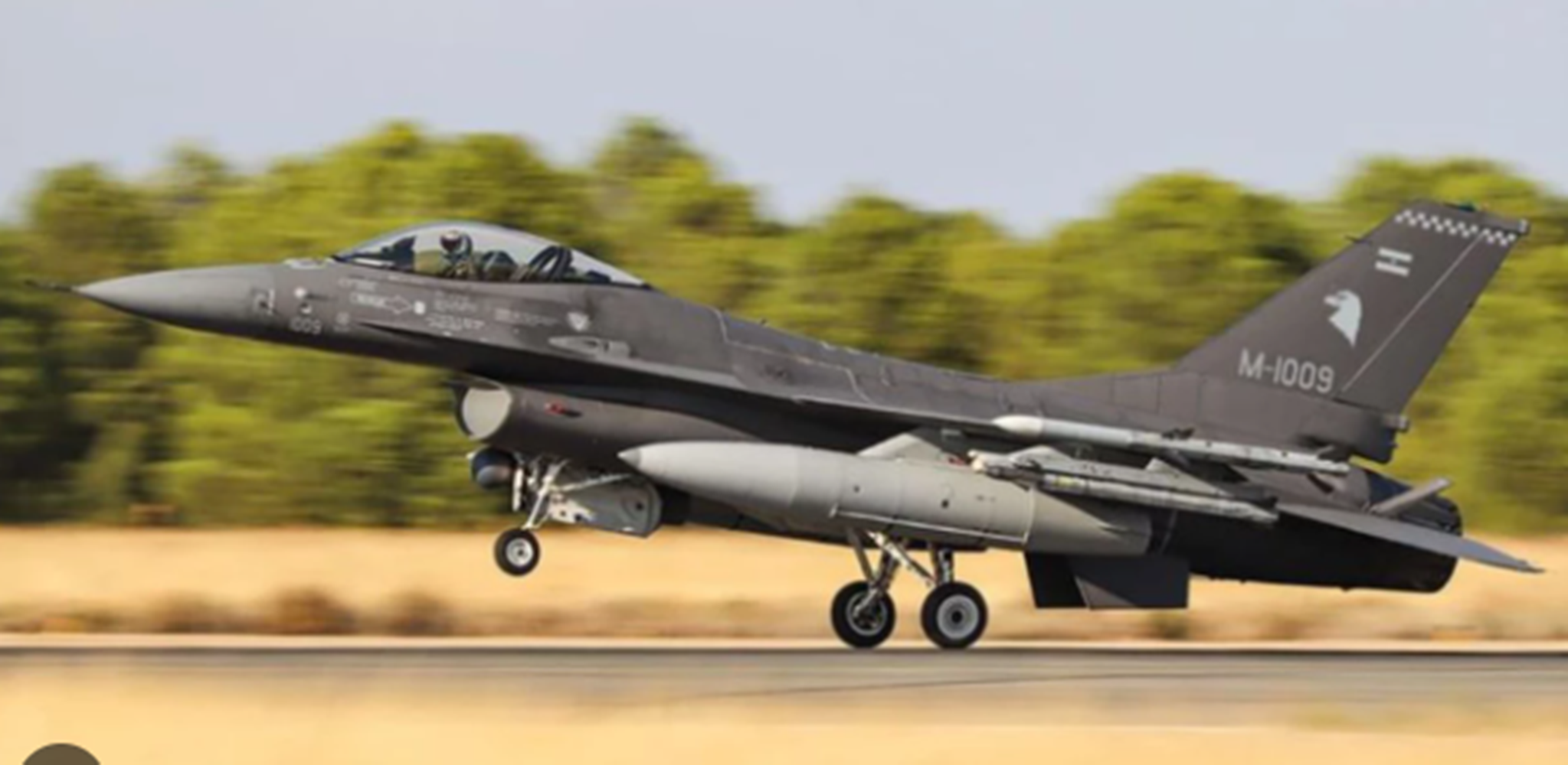 Javier Milei y Luis Petri anunciaron la compra de 24 aviones F-16 para la Fuerza Aérea Argentina