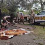 Tras allanamiento detienen a un ciudadano por el delito de abigeato