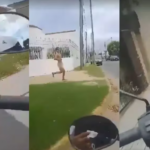 “No vas a robar más, ratita”: desnudaron a un supuesto ladrón y lo hicieron correr por las calles de La Plata