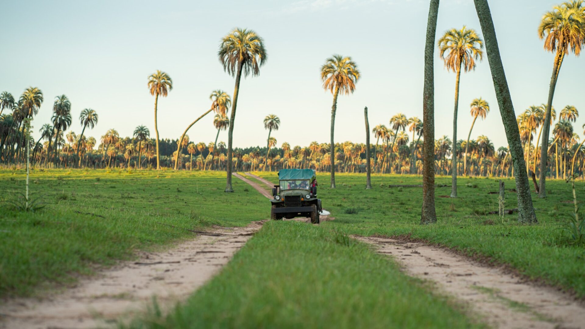 Entre Ríos fue el segundo destino elegido por los turistas este fin de semana extra largo