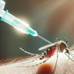 El Gobierno remarcó que no incluirá la vacuna contra el dengue en el calendario obligatorio: los motivos