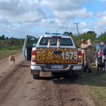 En diversos operativos, la Brigada de la policía Rural identificó a 32 personas cazando, y secuestró 8 armas de fuego