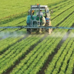 El Gobierno eliminará aranceles de importación de fertilizantes y bajará los de herbicidas