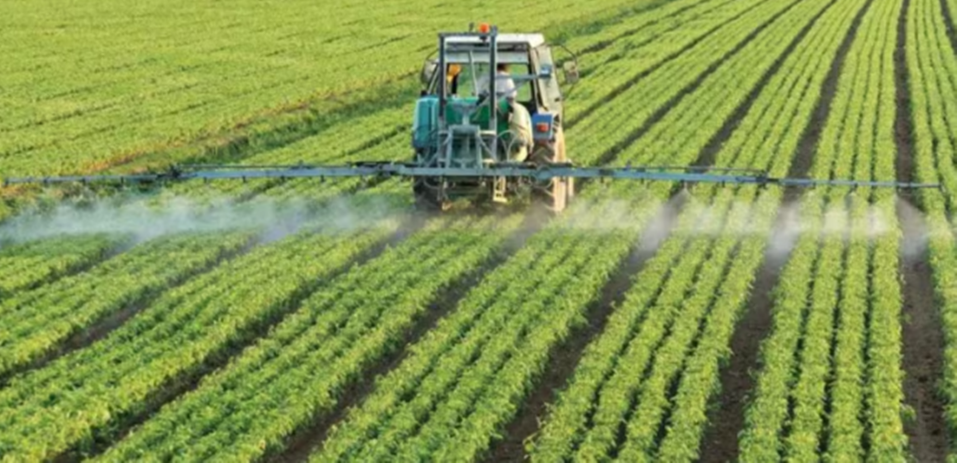 El Gobierno eliminará aranceles de importación de fertilizantes y bajará los de herbicidas