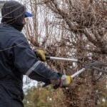 Pueblo Belgrano implementó un nuevo esquema de recolección de residuos de poda y jardinería