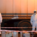 Gendarmería inspeccionó un transporte de encomiendas y hallaron 240 kilos de sustancias psicoactivas
