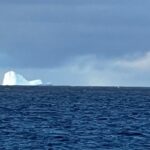 Alerta en Ushuaia: un iceberg apareció cerca de la costa