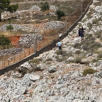 Alerta por la ola de calor en Grecia: murieron tres turistas que hacían senderismo y hay tres desaparecidos