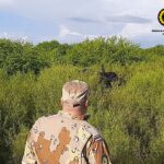 La Brigada de la Policía Rural localizó tres animales vacunos en Urdinarrain