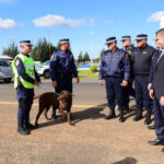 Policía de Entre Ríos y Gendarmería intensifican los trabajos de prevención en rutas entrerrianas