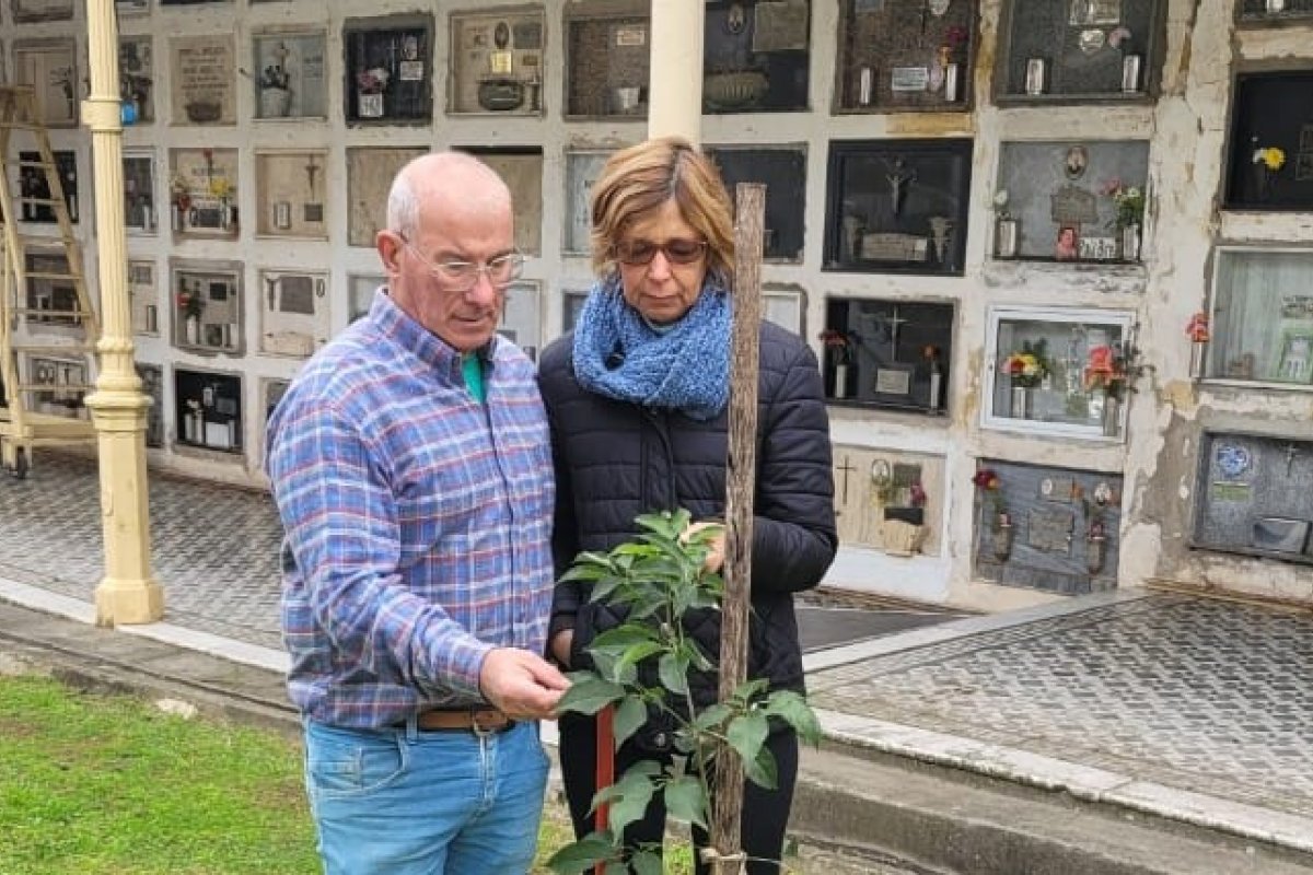 Cementerio: la Municipalidad de Gualeguaychú propone plantar árboles en memoria de seres queridos