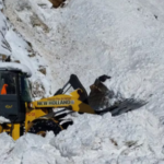 La Patagonia, tapada de nieve: murió un hombre por hipotermia y los pasos internacionales permanecen cerrados