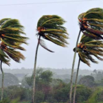 Alerta amarilla por fuertes vientos para Gualeguaychú zonas