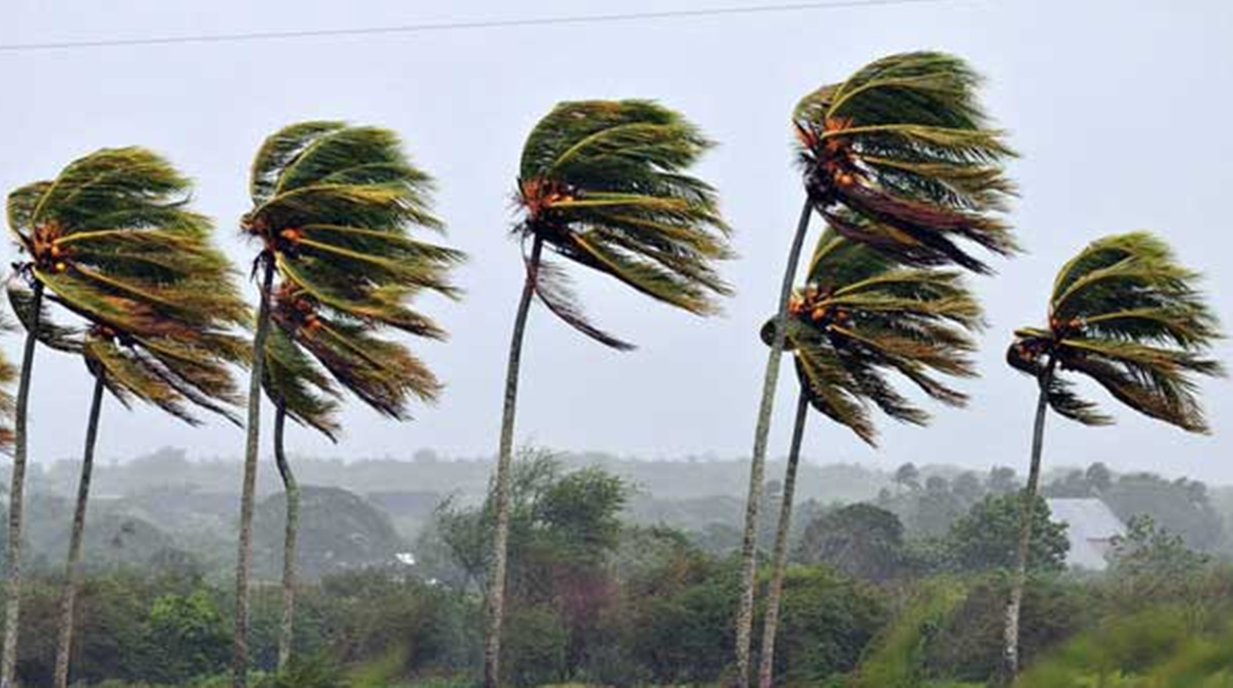 Alerta amarilla por fuertes vientos para Gualeguaychú zonas