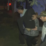Encontraron rastros de Loan en la parte trasera de uno de los autos peritados