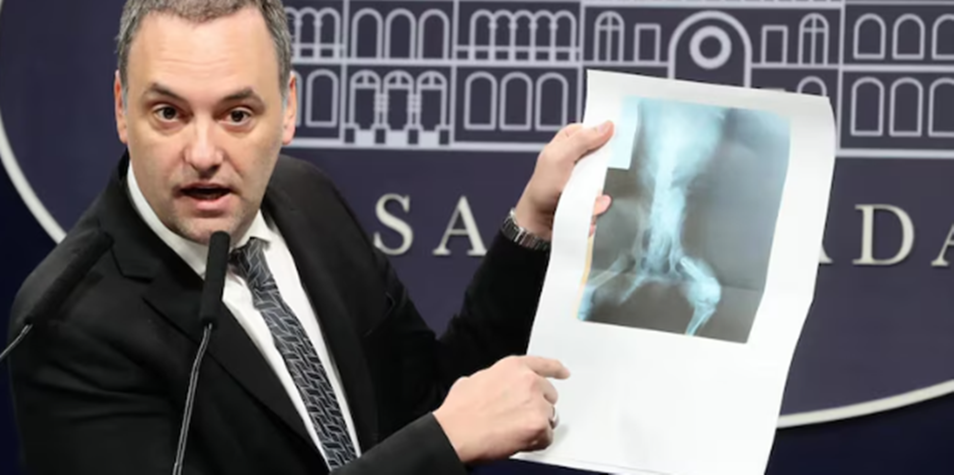  “La radiografía de un perro” : el Gobierno denunció irregularidades y corrupción en la aprobación de pensiones por discapacidad