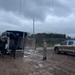 Gualeguaychú: durante el mes de agosto ya fueron secuestrados 23 caballos en la ciudad
