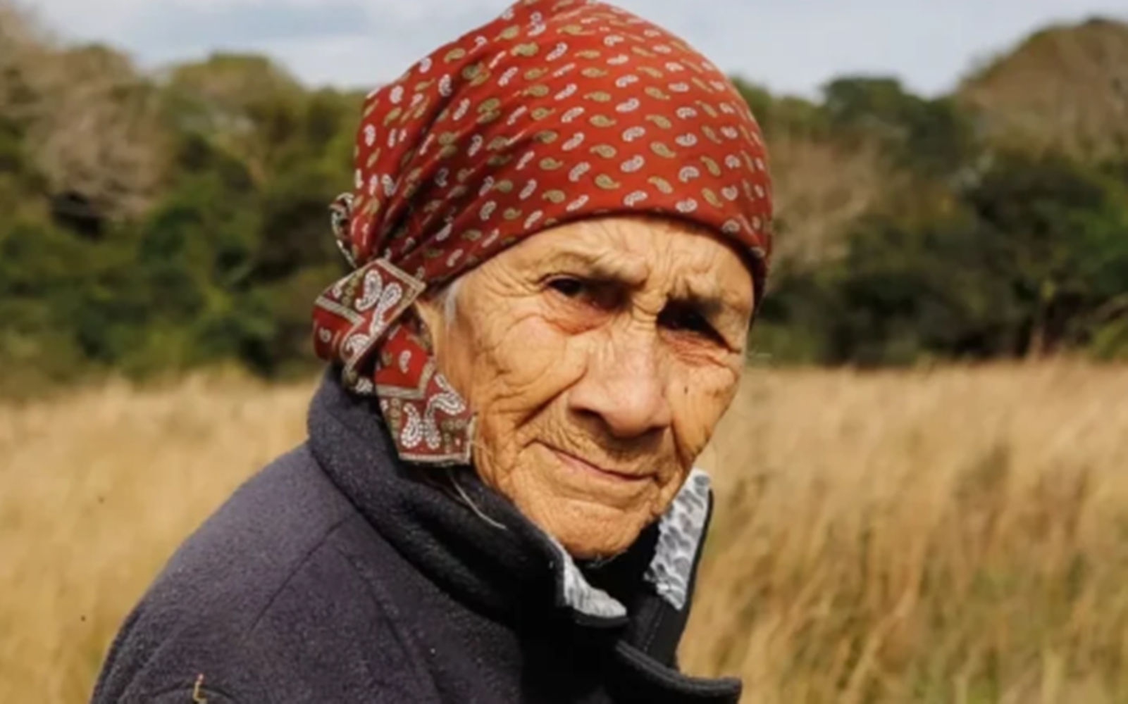 Caso Loan: declaró la abuela Catalina en medio de la polémica por las transacciones millonarias