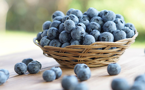 Este alimento es saludable para el cerebro, según Harvard