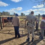 Tras allanamiento la Brigada de la Policía Rural recuperó un animal