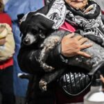 Continúa el cronograma de castraciones en Gualeguaychú