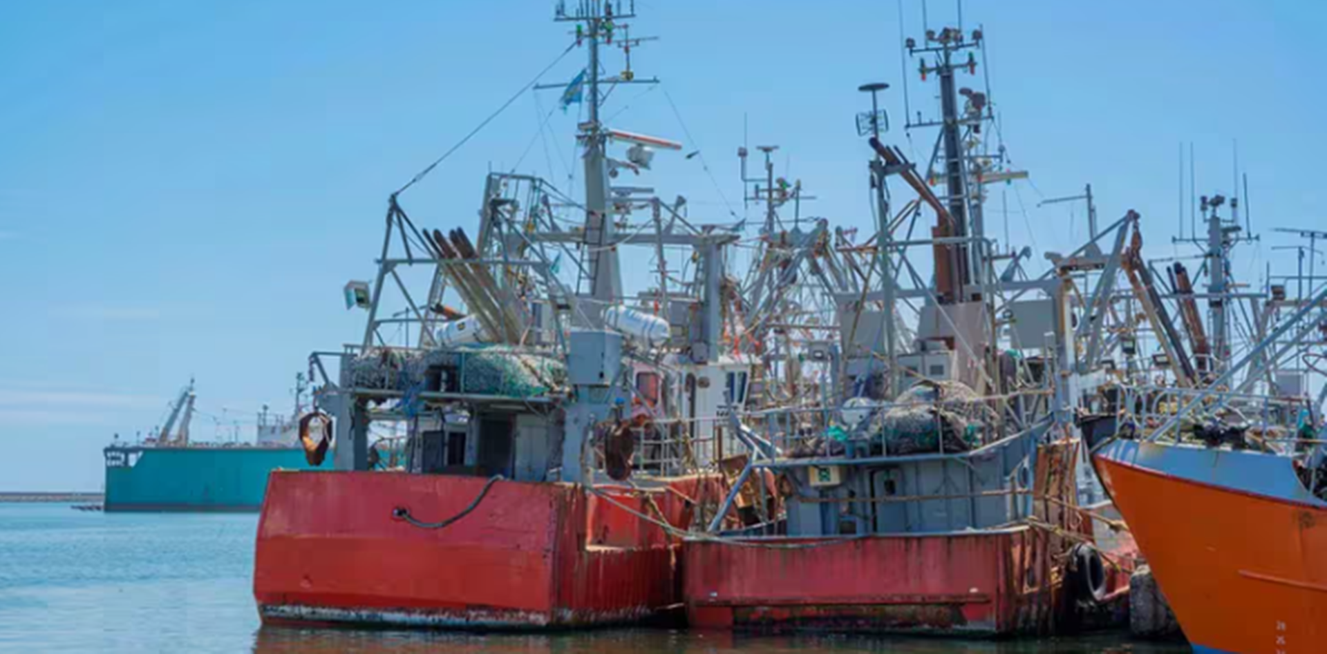 Pesca ilegal: una investigación revela cómo las empresas chinas dominan el negocio mundial y depredan el Mar Argentino