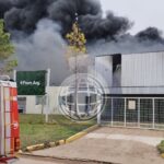 La Subsecretaría de Ambiente municipal pedirá informes sobre el incendio en From Arg
