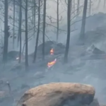 Preocupación en Córdoba por los incendios forestales: hay al menos cuatro focos y varias casas afectadas