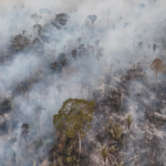 El humo de los incendios de Brasil llegará a la Argentina: cuándo y qué zonas se verán afectadas