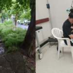 Abandonaron a un bebé de pocos días en medio del temporal: un ciclista lo encontró y una policía lo amamantó