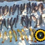 Operativo náutico en el río Victoria: decomisan Surubí y Dorados en poder de depredadores de la fauna ictícola