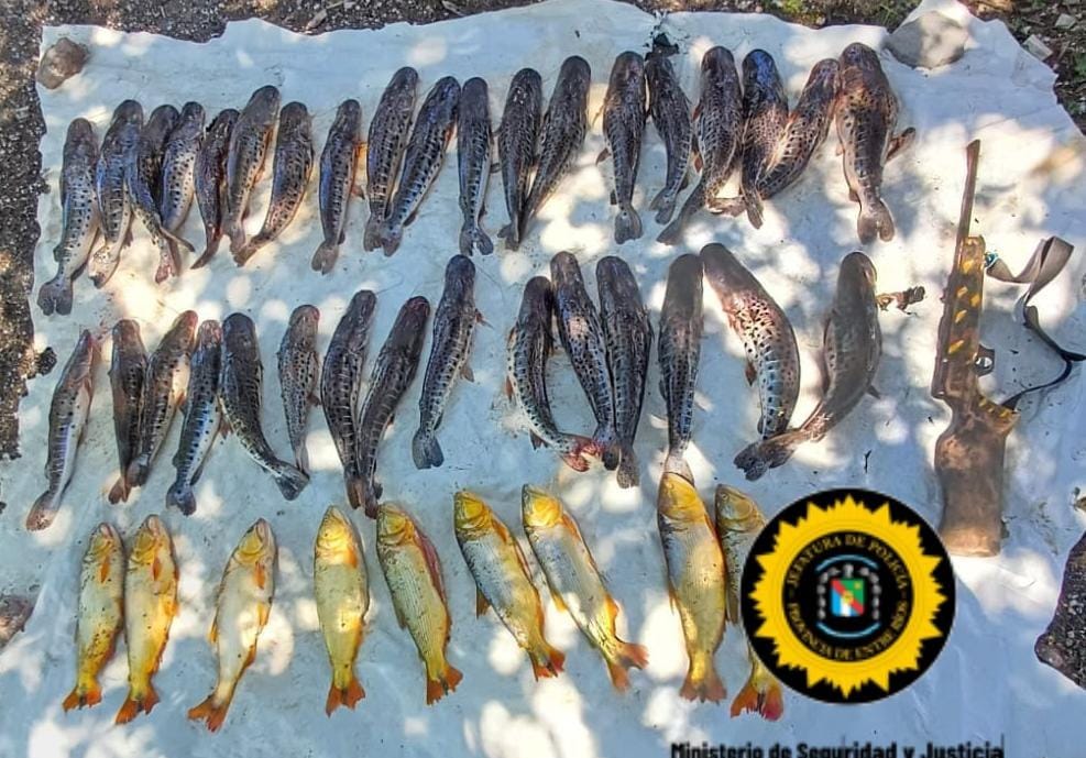 Operativo náutico en el río Victoria: decomisan Surubí y Dorados en poder de depredadores de la fauna ictícola