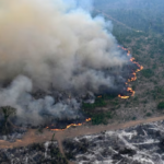 Incendios récord en Brasil: la Amazonia bajo amenaza y el impacto en sus biomas clave