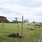 Plantación de árboles en el barrio 62 Viviendas: un paso hacia el embellecimiento y mejora comunitaria