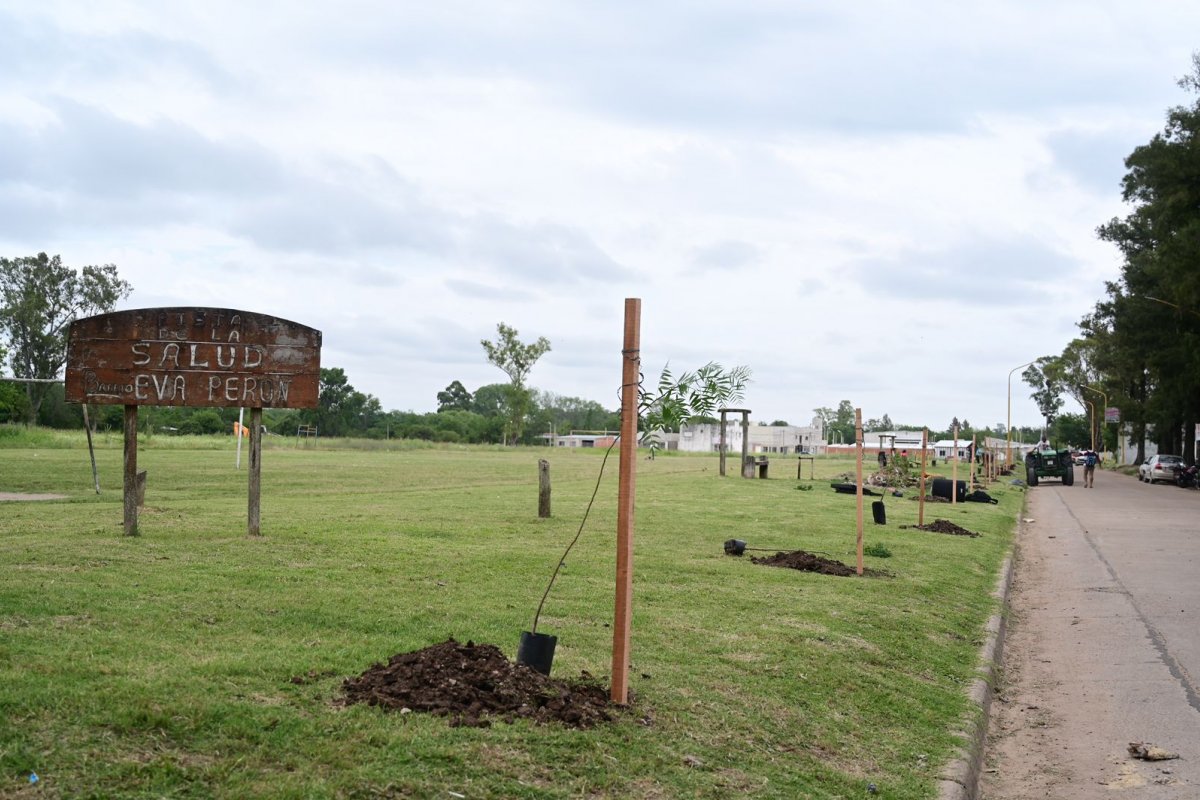 Plantación de árboles en el barrio 62 Viviendas: un paso hacia el embellecimiento y mejora comunitaria