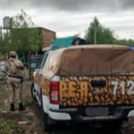 Tras allanamiento identificaron al autor de un hecho de abigeato y secuestraron plantas de marihuana