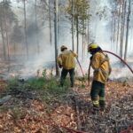 Brigadistas controlan los incendios desatados en Concordia