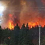 Incendio en el Parque Nahuel Huapi: el fuego arrasó cerca de 6.000 hectáreas