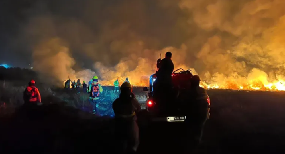 Este sábado se produjo un incendio en la Reserva Natural de Punta Lara