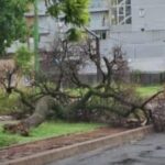 Lluvias intensas: asistencia y prevención en la ciudad por parte de la Municipalidad