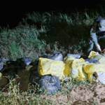 Hallan 915 kilos de droga acopiados a la vera del río Paraná