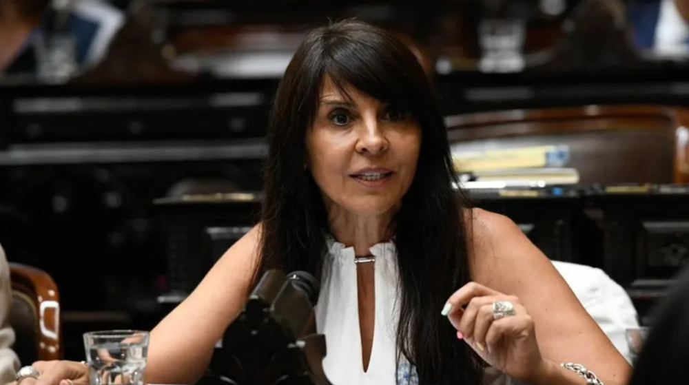 “Con los jubilados no se juega”: una diputada libertaria celebró las desvinculaciones de los empleados que cerraron las oficinas de PAMI por la marcha por Cristina Kirchner