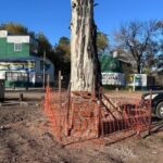 Trabajan en la puesta a punto de la “Plazoleta Amigos del Deporte”, ubicada en el Parque Unzué