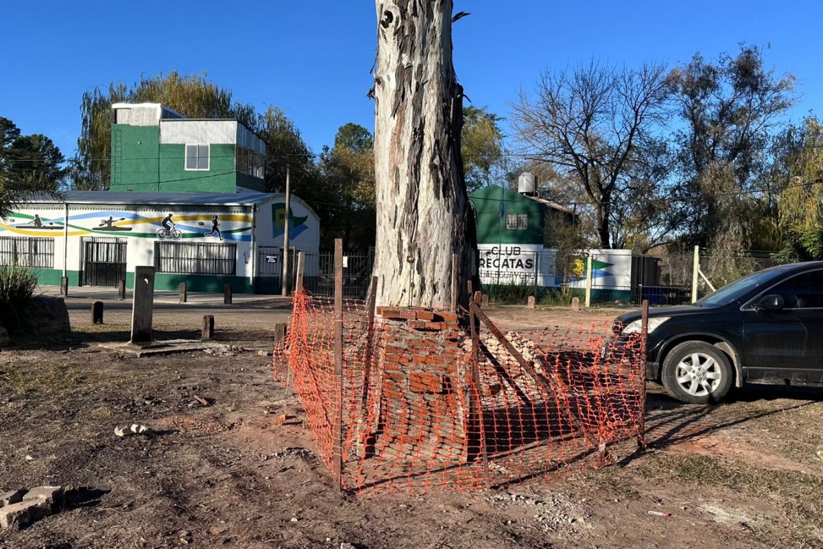 Trabajan en la puesta a punto de la “Plazoleta Amigos del Deporte”, ubicada en el Parque Unzué