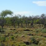 Gualeguaychú será sede del primer foro participativo sobre cambio climático