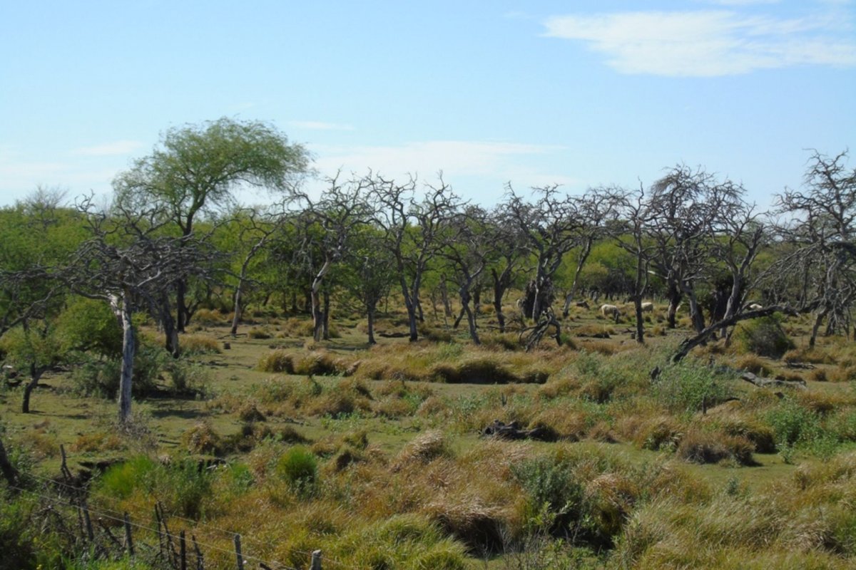 Gualeguaychú será sede del primer foro participativo sobre cambio climático
